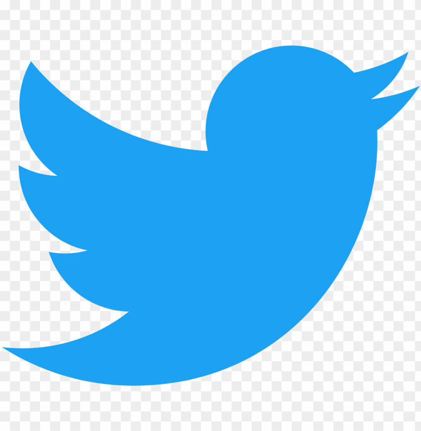 twitter-logo-11549680523gyu1fhgduu.png